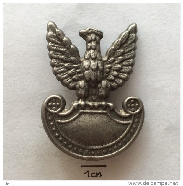Badge (Pin) ZN002743 - Military (Army) Poland (Polska) Officer Eagle - Militaria