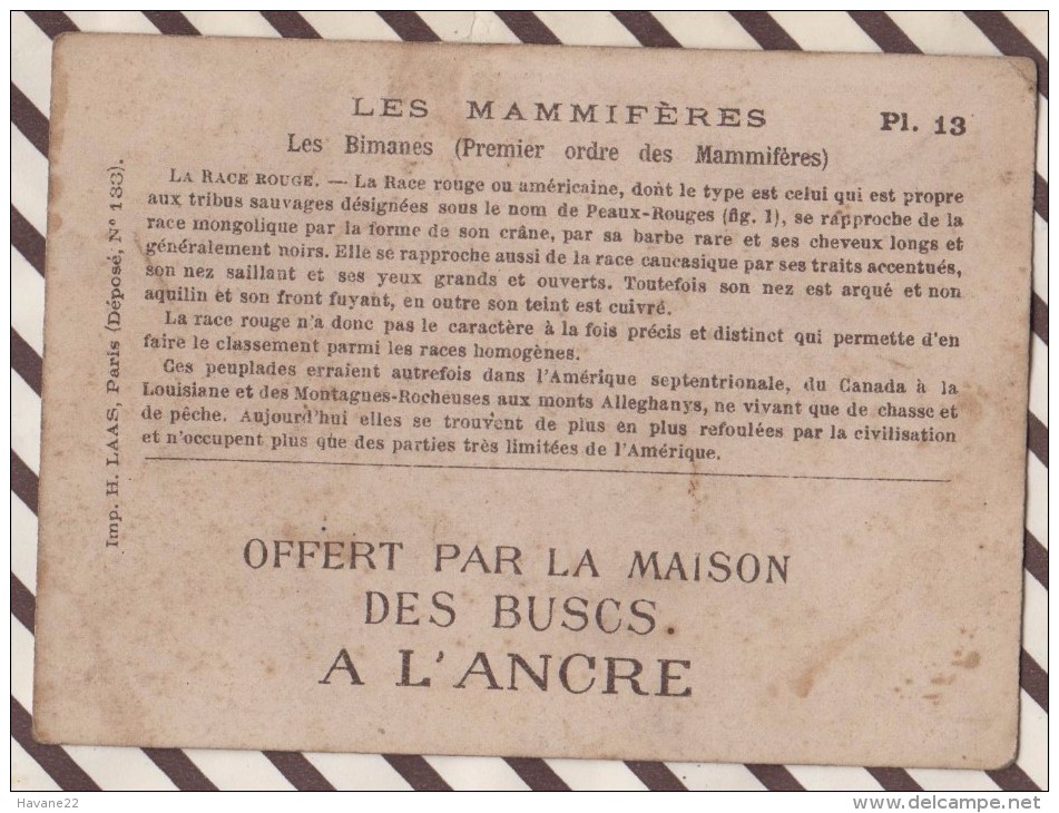 6AI3670 CHROMO MAISON DES BUSCS A L'ANCRE  PL13 LES  BINANES LA RACE ROUGE  2 SCANS - Géographie