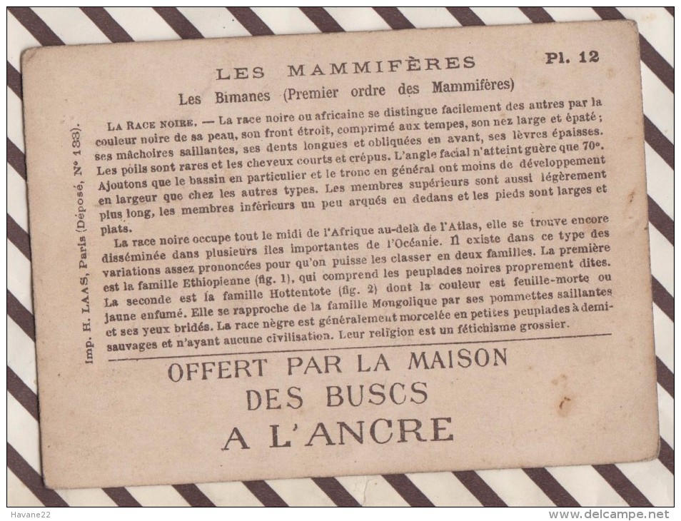 6AI3671 CHROMO MAISON DES BUSCS A L'ANCRE  PL12 LES  BINANES LA RACE NOIRE  2 SCANS - Géographie