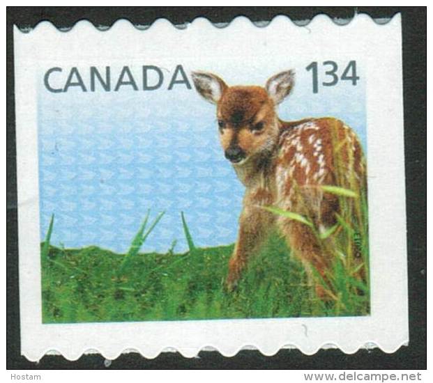 Canada 2013  # 2606   Fawn Mnh - Coil Stamps