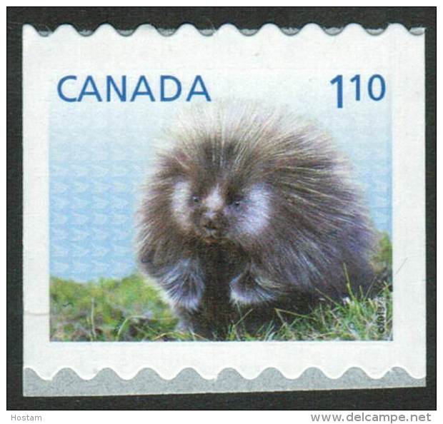 CANADA, 2013, # 2605  BABY WILDLIFE:  PORCUPINE    MNH - Coil Stamps