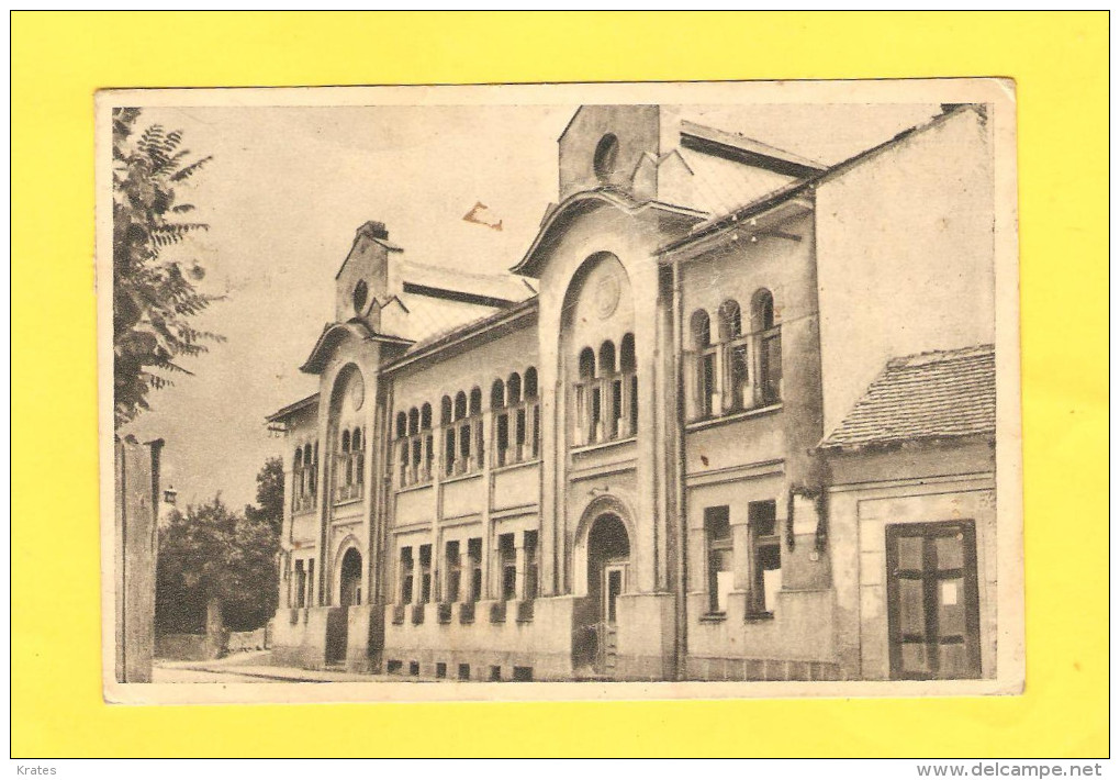 Postcard - Bosnia, Bijeljina     (V 29353) - Bosnie-Herzegovine