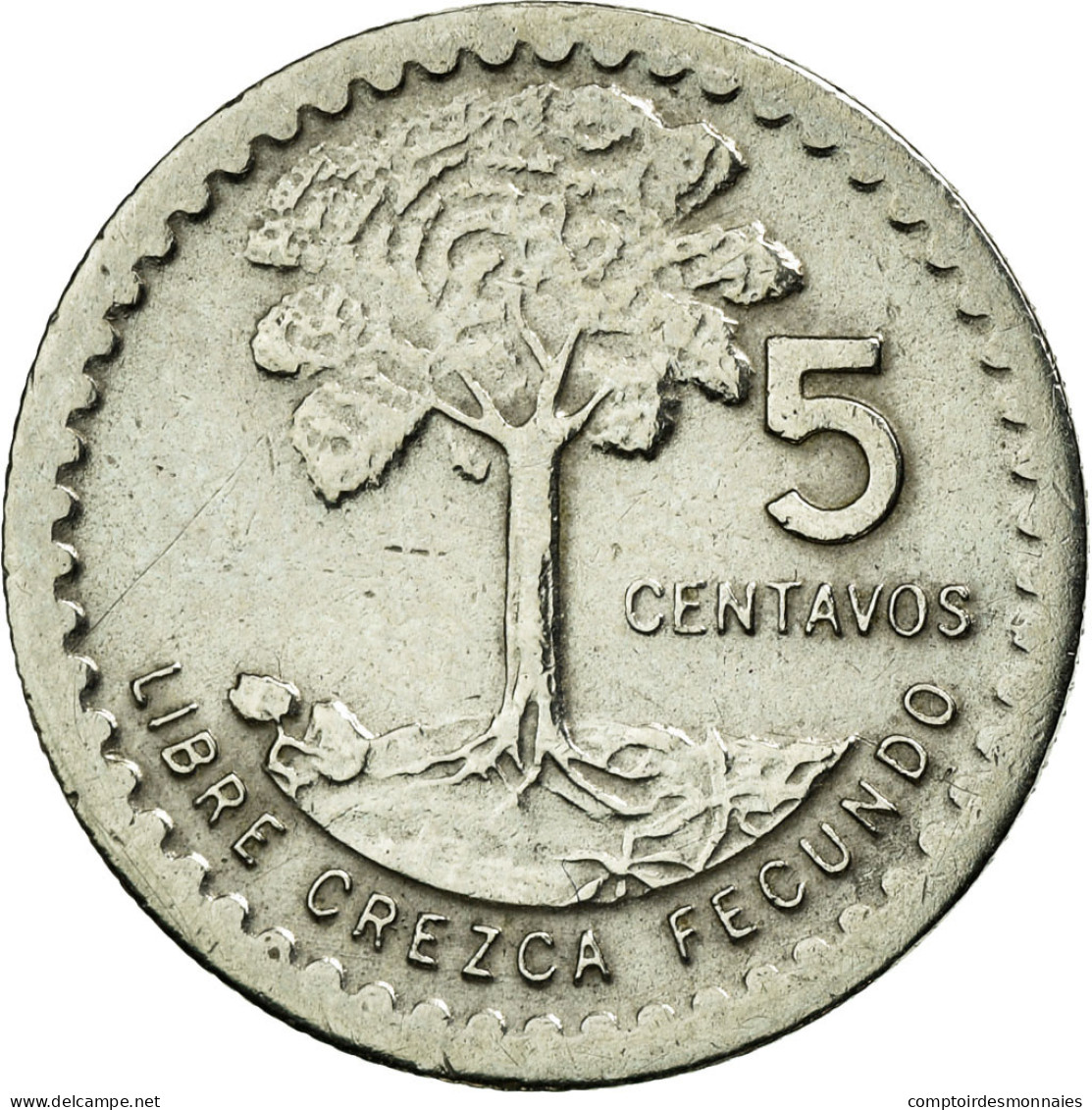 Monnaie, Guatemala, 5 Centavos, 1977, TTB+, Copper-nickel, KM:270 - Guatemala