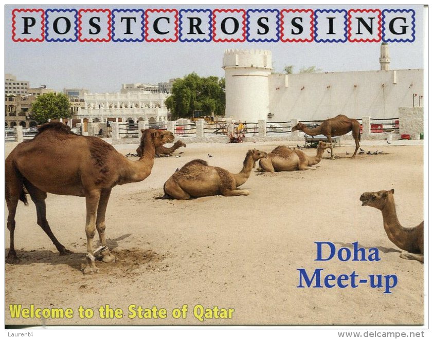 Postcrossing Meet Up In Qatar - Doha Meet Up  - Camel And Fort - Oman