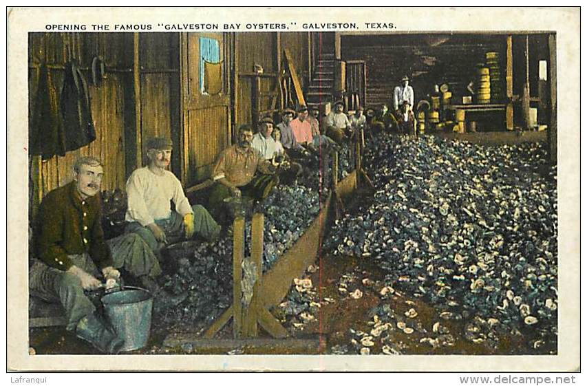 Pays Div -etats Unis - Usa - Ref G84- Huitres -ostreiculture -galveston  - Carte Bon Etat - Postcard In Good Condition - - Autres & Non Classés