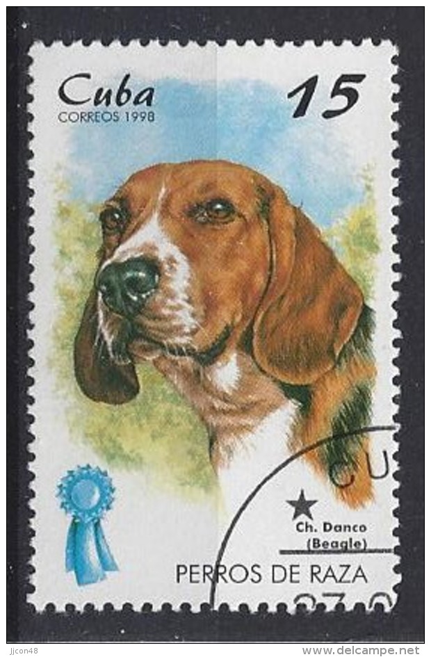 Cuba  1998  Champion Dogs (o) Beagle - Usati