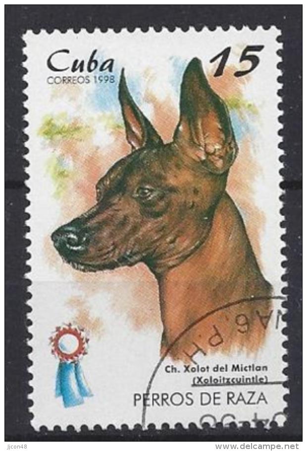 Cuba  1998  Champion Dogs (o) Mexican Naked Hound - Used Stamps