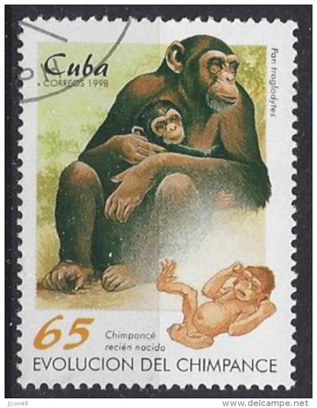 Cuba  1998  Chimpanzee (o) - Usados