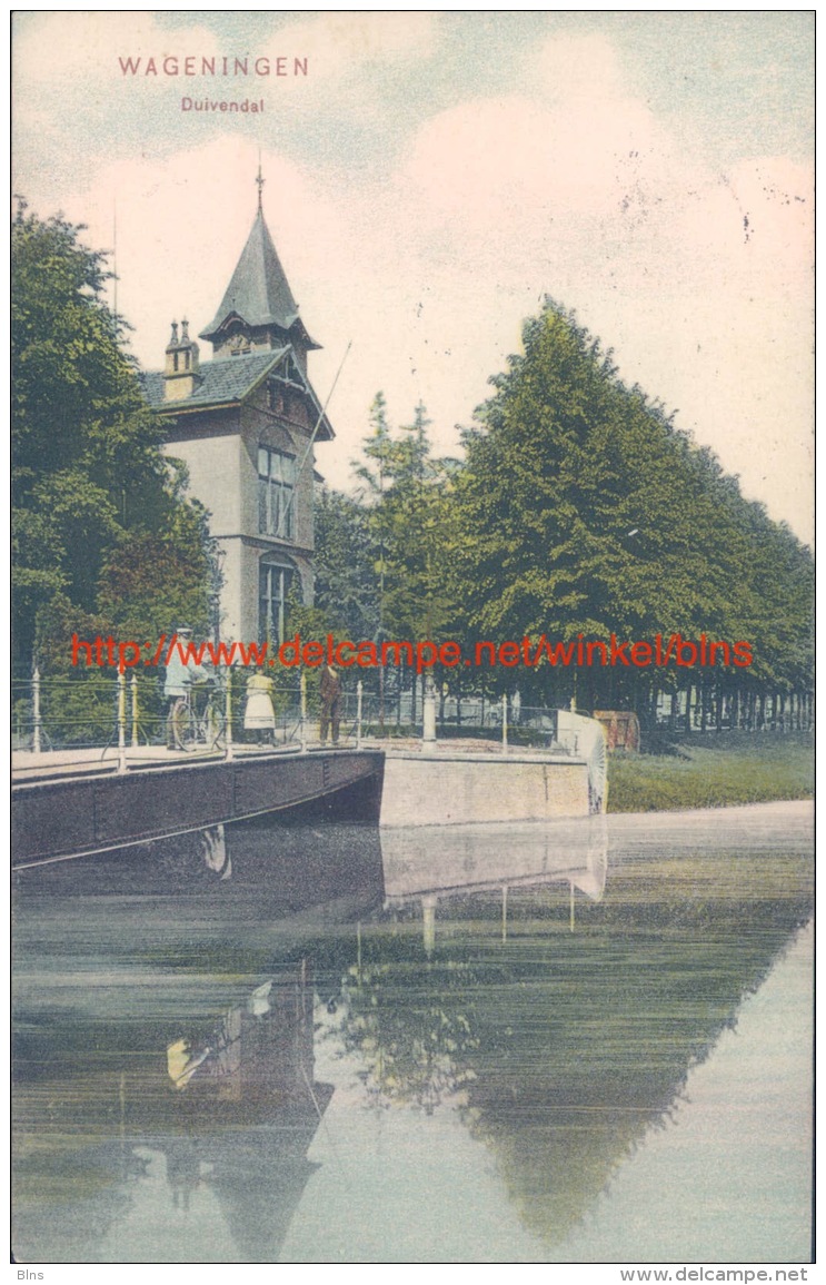 1907 Duivendal Wageningen - Wageningen