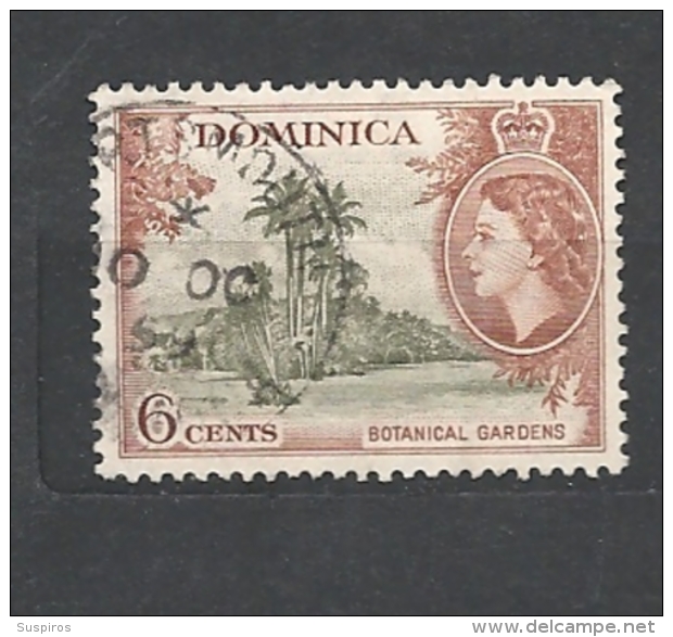 DOMINICA 1954 Issues Of 1951 But With Portrait Of Queen Elizabeth II 147 USED - Dominica (1978-...)
