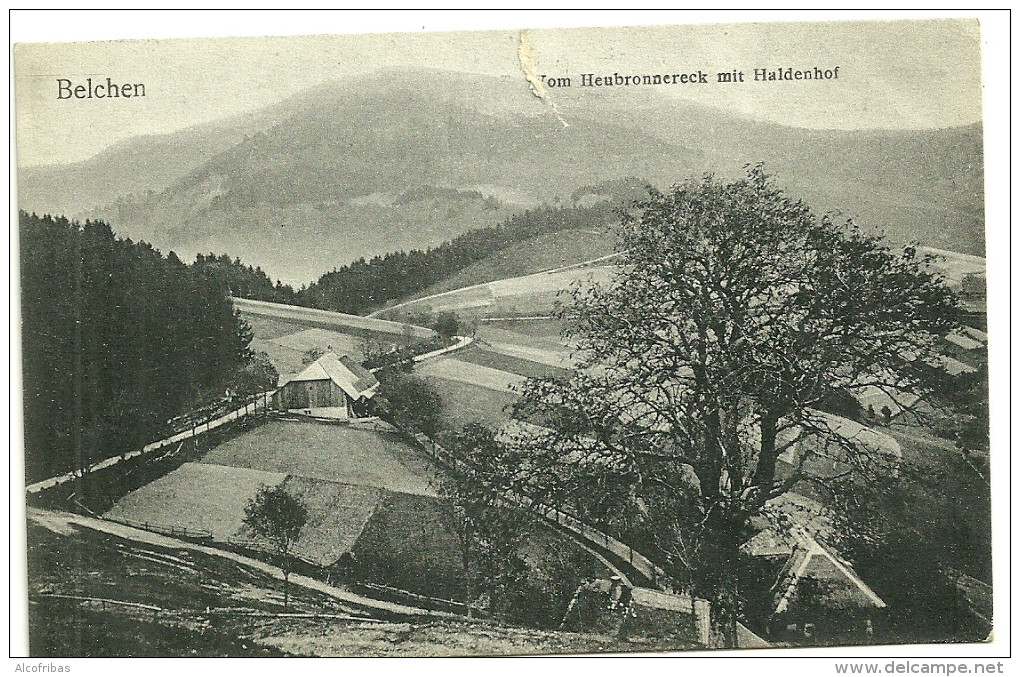 Allemagne  CPA Belchen Vue Du Heubronnereck Haldenhof Avis De Passage Geiger Chicoree Arlatte Publicite Colmar 1911 - Bad Krozingen