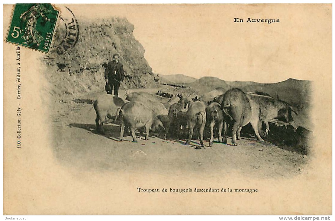 EN AUVERGNE  TROUPEAU DE BOURGEOIS DESCENDANT LA MONTAGNE - Auvergne