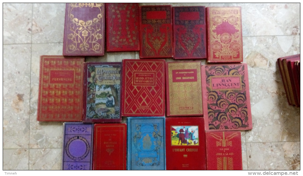 LOT 15 ROMANS ANCIENS POUR LES JEUNES De Type ´bibliothèque D´éducation" Hachette Gedalge .... - Wholesale, Bulk Lots