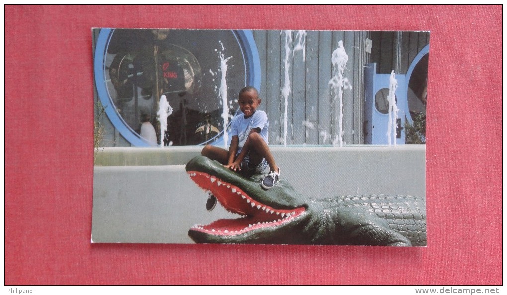 Black Boy On Fake Alligator South Of Border SC-ref 2344 - Presidenten
