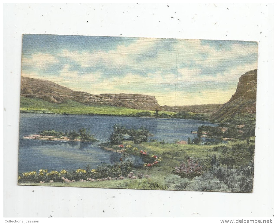 G-I-E , Cp , ETATS UNIS , WASHINGTON , Park Lake , Lower Grand Coulee , Voyagée 1954, Ed : C.T. Art - Sonstige & Ohne Zuordnung