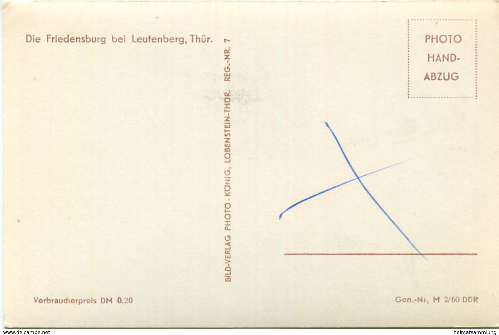 Leutenberg - Friedensburg - Foto-AK 1960 - Verlag Photo-König Lobenstein - Leutenberg