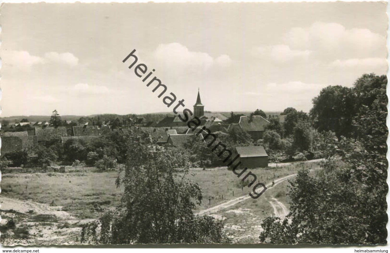 Bergen/Dumme - Blick Vom Sandberg - Foto-AK - Verlag K. H. Dierks Bergen - Bergen