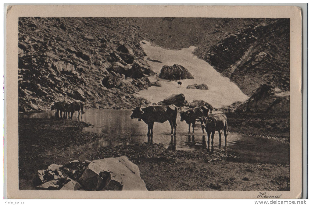 Landquart - Mittagsrast - Beim Lünereck - Heimat - Photo: D. Mischol No. 23/5100 - Stempel: Meiringen - Landquart