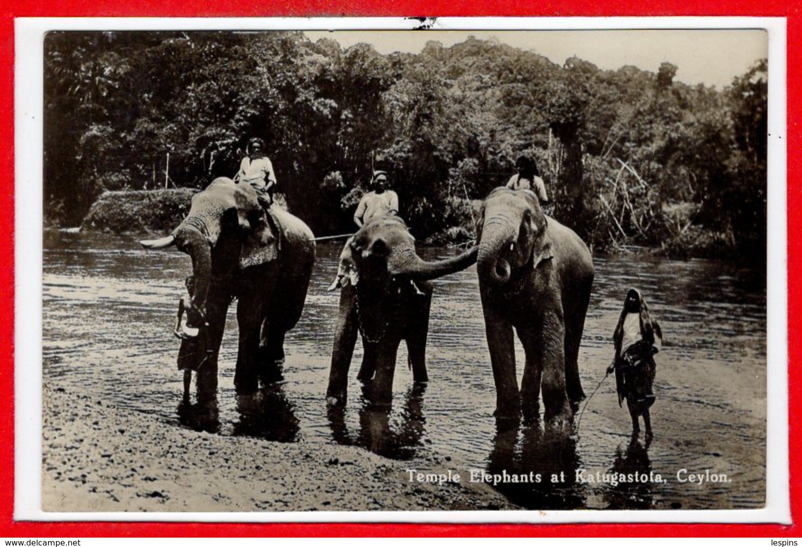 ASIE --  SRI LANKA - Ceylon  - Temple  Elephants - Sri Lanka (Ceylon)