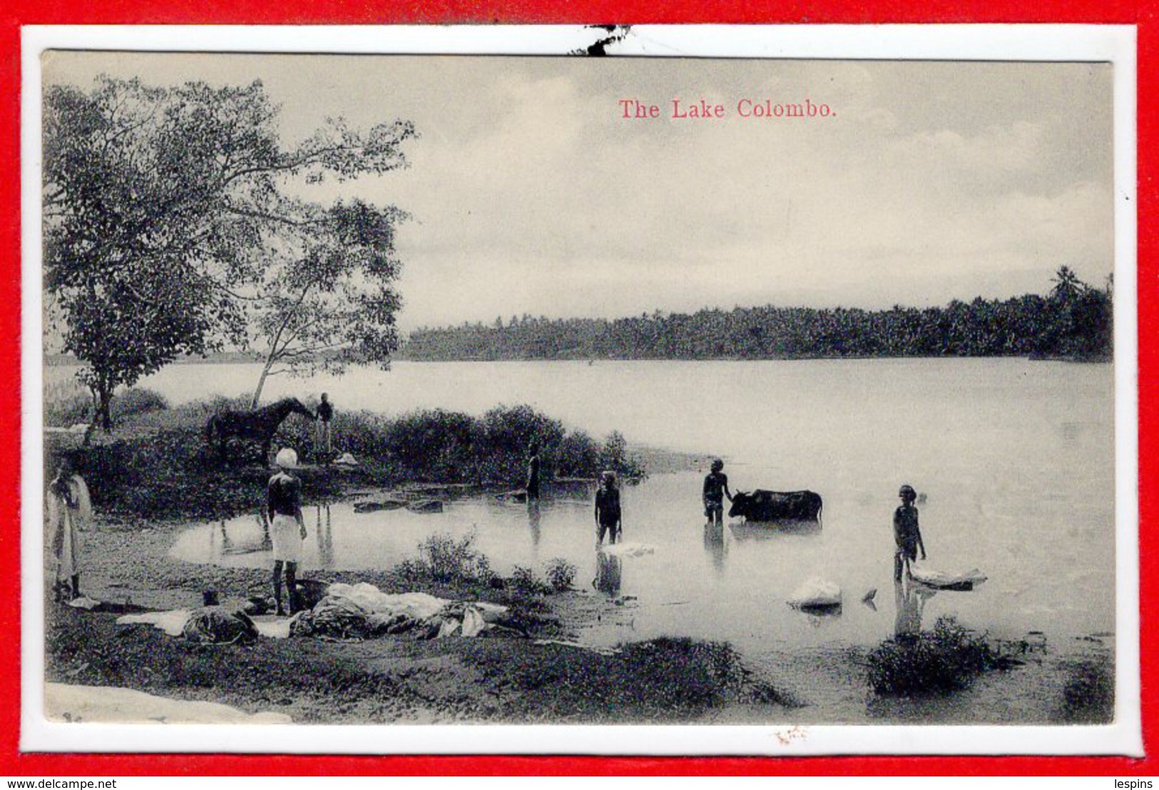 ASIE --  SRI LANKA - Ceylon  - Colombo  -  The Lake - Sri Lanka (Ceylon)