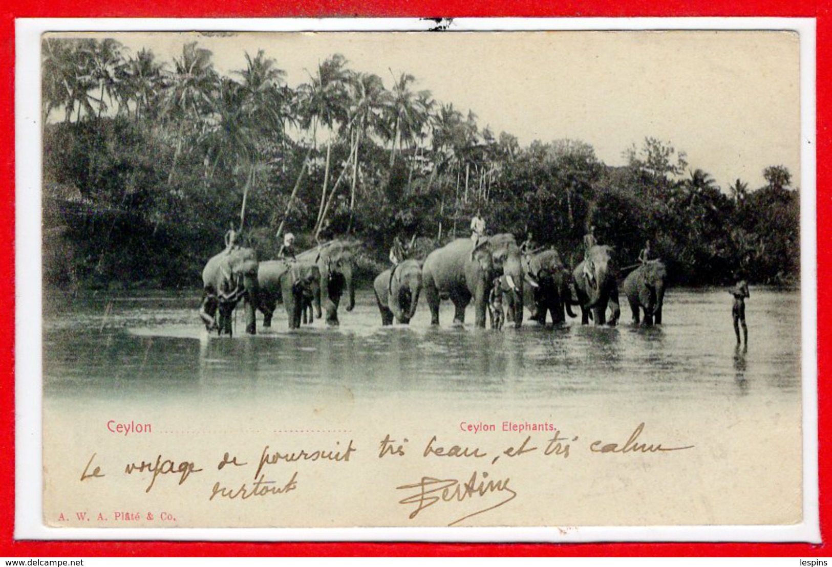 ASIE --  SRI LANKA - Ceylon  - Elephants - Sri Lanka (Ceylon)
