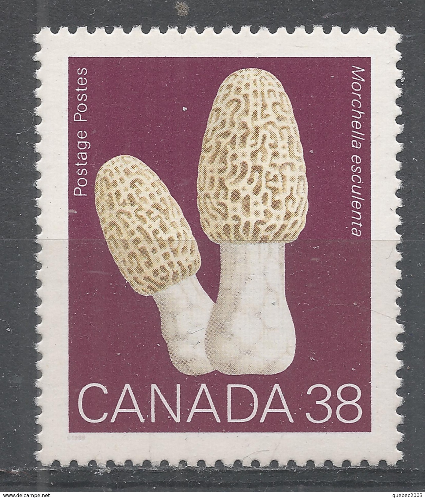 Canada 1989. Scott #1248 (MNH) Champignons,  Mushrooms, Morchella Esculenta - Unused Stamps