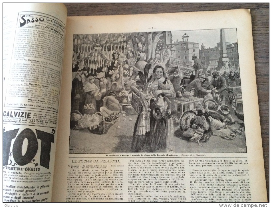 REVUE DOMENICA DEL CORRIERE ANNO 6 N° 2 10/1/1904 PIAZZALE VENEZIA MERCATO ROMA PIAZZA DEL ROTONDA CATRAMINA BERTELLI - Autres & Non Classés