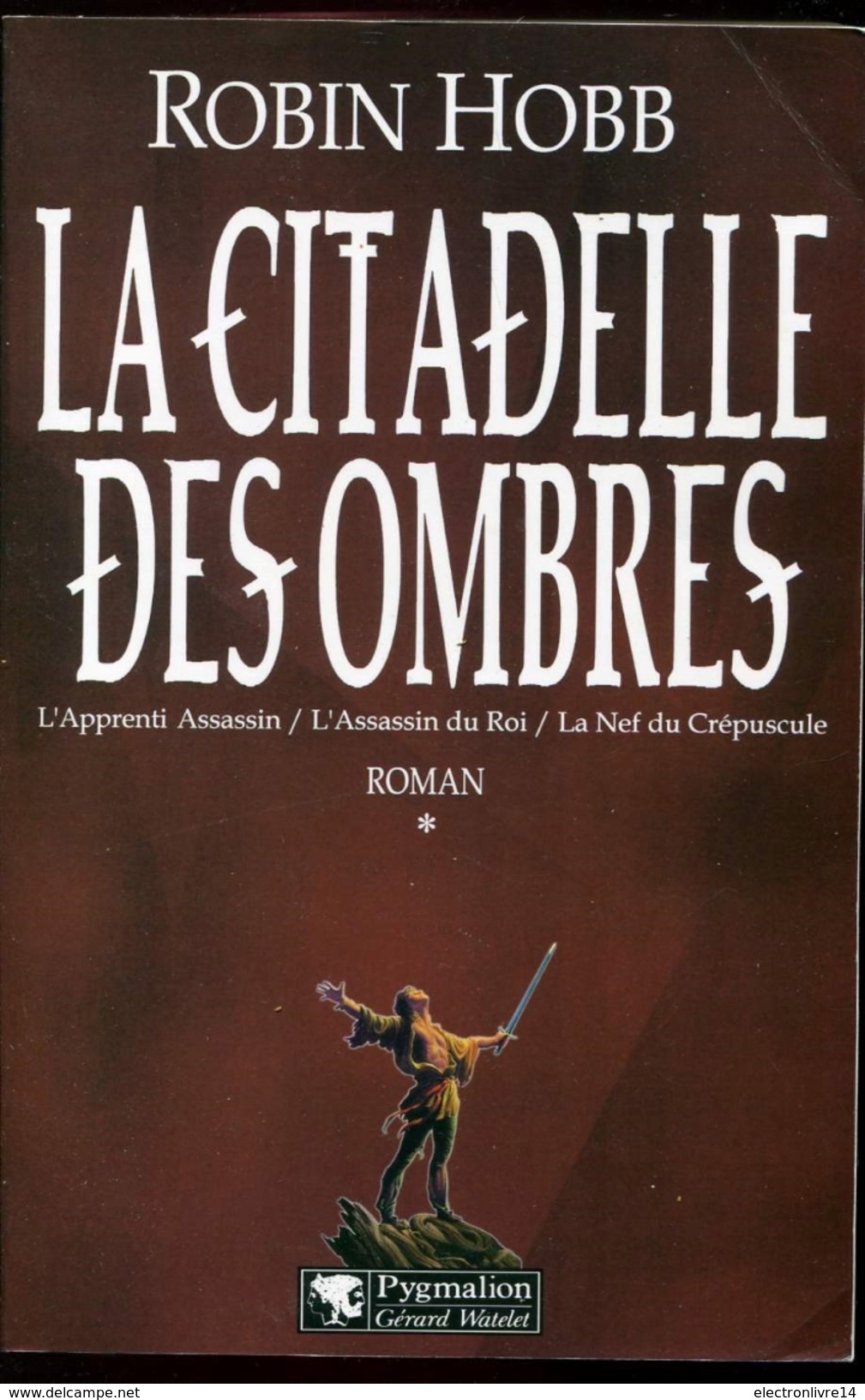 Hobb La Citadelle Des Ombres Les 2 Premiers Tomes  Integrale Ed Pygmalion - Pygmalion