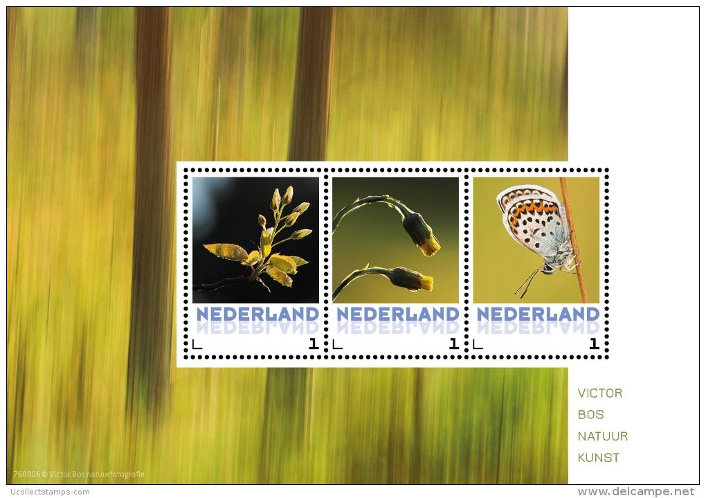 Nederland  2016    Butterfly Flowers  Vlinder Bloemen Schmetterlinge Blumen     M/s   Postsfris/neuf/mnh - Ongebruikt