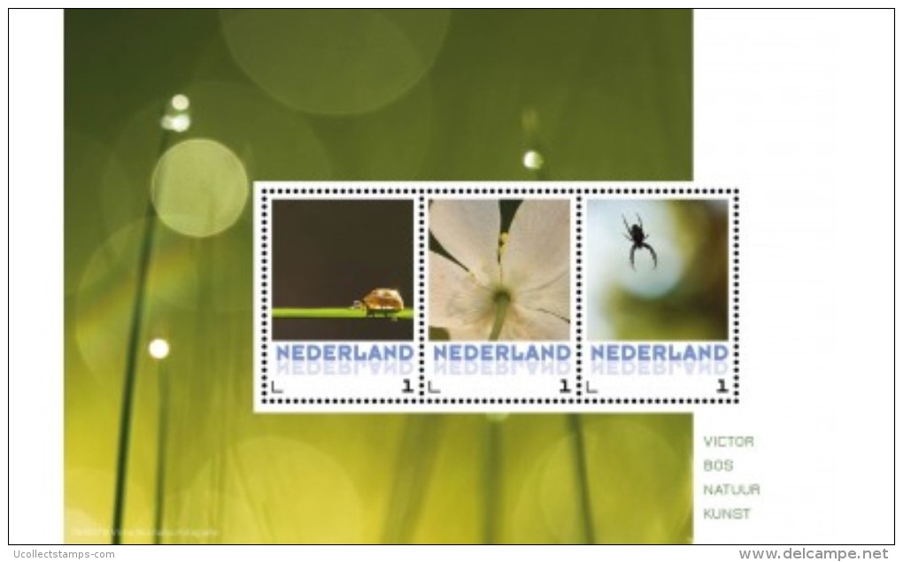 Nederland  2016    Spin Lieveheerstbeestje Bloem  Spider Ladybug Flower     M/s   Postsfris/neuf/mnh - Neufs
