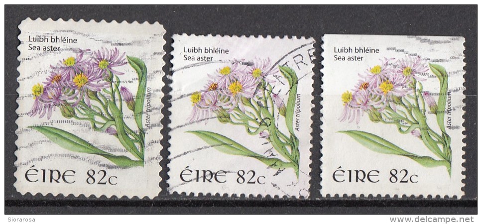 Irlanda 2008-09 Fiori Flowers Sea Aster Tripolium Eire Ireland Used - Usati