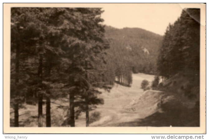 Suhl Goldlauter Heidersbach - S/w Blick Zum Bochmersgrund - Suhl