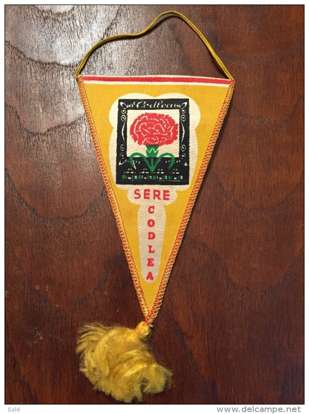 ROMANIA PENNANT SERE CODLEA ROMANIA 1970 - Autres & Non Classés