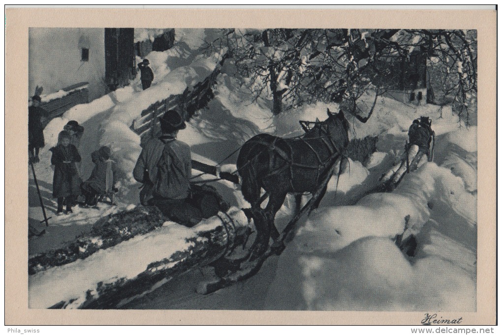 Bei Furna (Prättigau) - Heimat - Holztransport Le Transport Du Bois En Hiver - Photo: D. Mischol No. 24/3193 - Furna