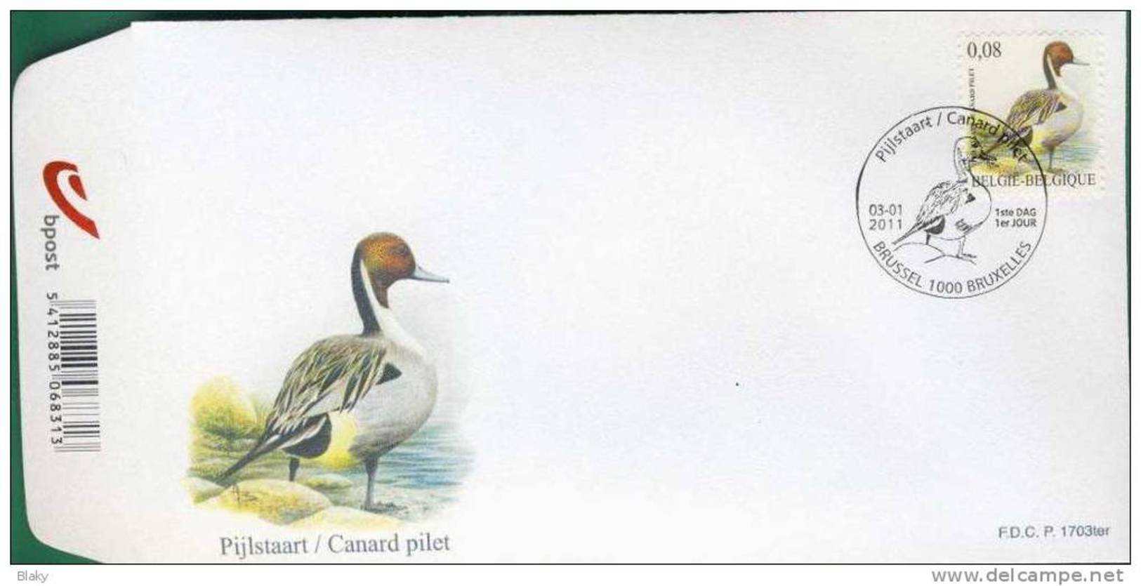 2011-FDC-BUZIN-CANARD PILET-PIJLSTRAAT-DU 3 JANVIER 1000BRUXELLES - 1985-.. Birds (Buzin)