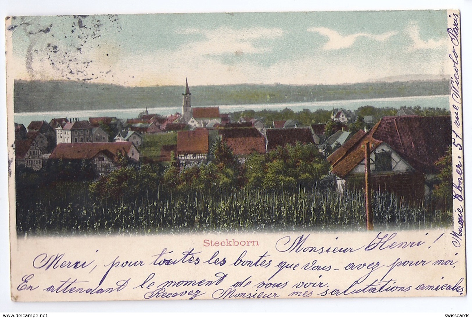 STECKBORN: Weinreben Mit Dorf Und See 1903 - Steckborn