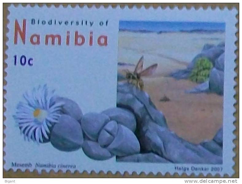 Namibia  2007  World Heritage- Namib Desert  Animal  10c   1v   Mint - Namibia (1990- ...)