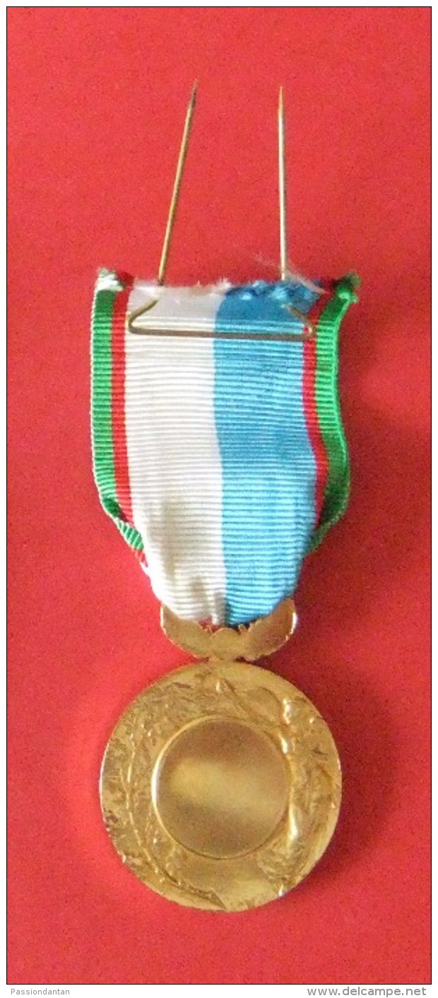 Médaille Avec Ruban Sur L'action Des Sapeurs Pompiers - Bombero