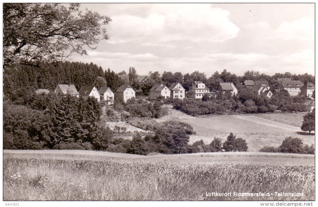 5232 FLAMMERSFELD, Teilansicht, 1956 - Altenkirchen