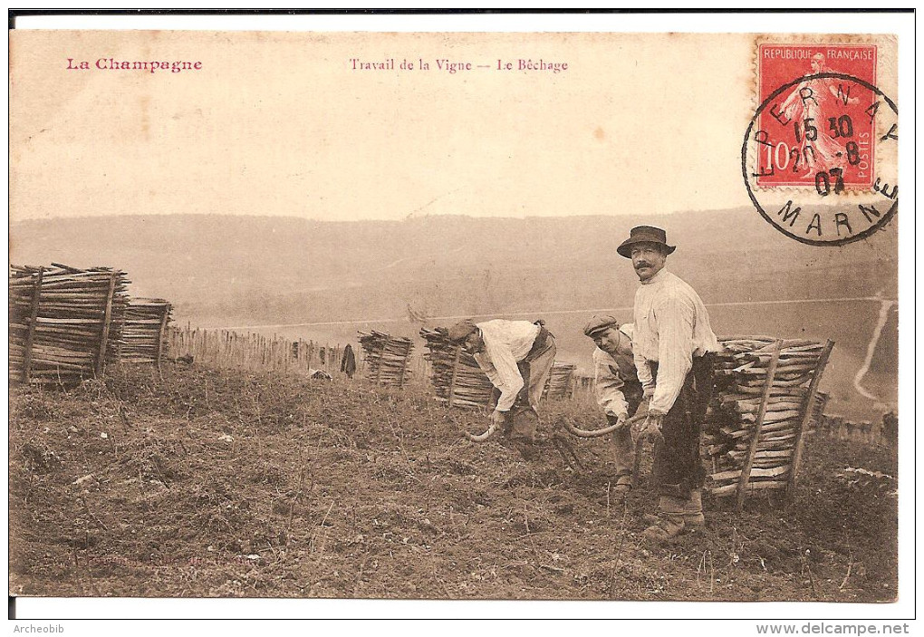 Champagne, Travail De La Vigne. Le Bêchage. - Epernay