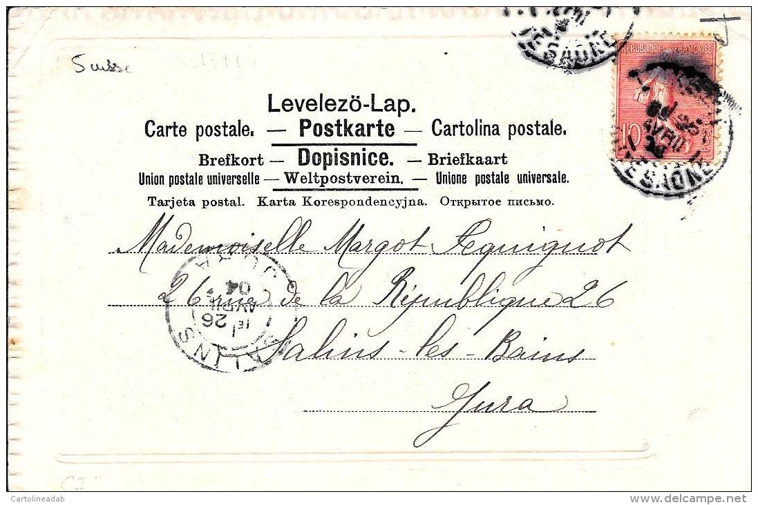 [DC3281] CPA - CACCIATORE CON CANE NEL BOSCO - TIMBRI SUL RETRO SVIZZERA - Viaggiata 1904 - Old Postcard - Altri & Non Classificati