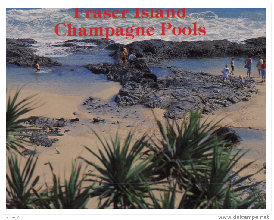 (235) Australia - QLD - Fraser Island Champagne Pool - Sunshine Coast