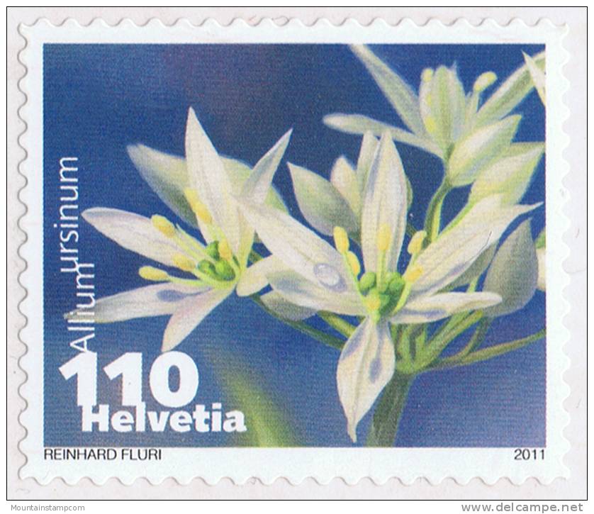 Switzerland 2011 Vegetable Blossoms Allium Ursinum Bärlauch Wild Garlic ** MNH Self-adhesive - Gemüse