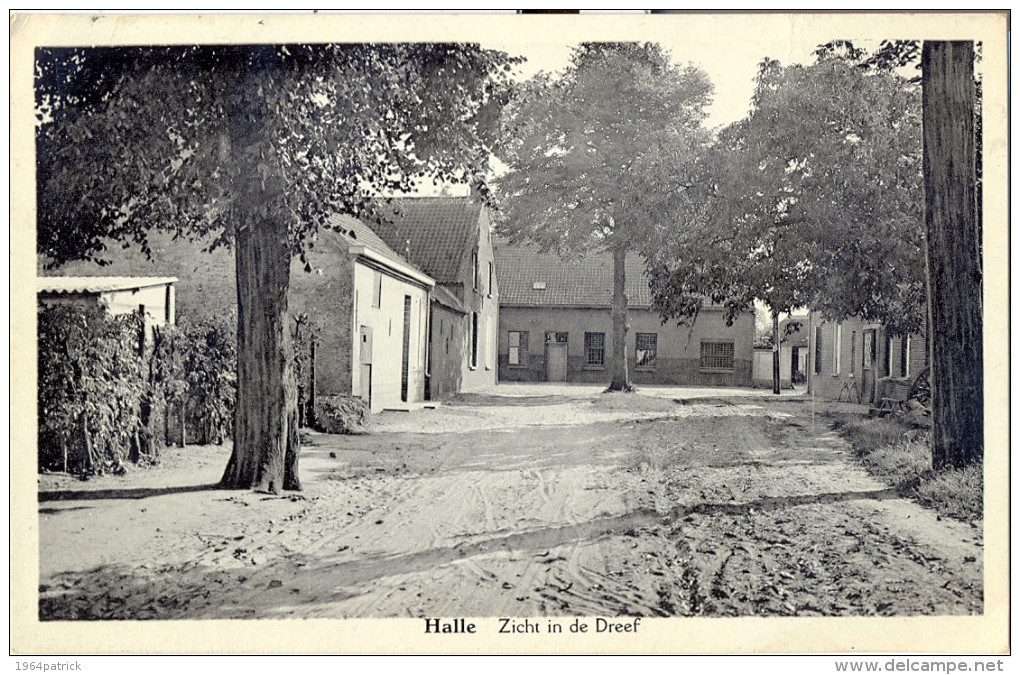 HALLE BIJ ZOERSEL   ZICHT IN DE DREEF - Zoersel