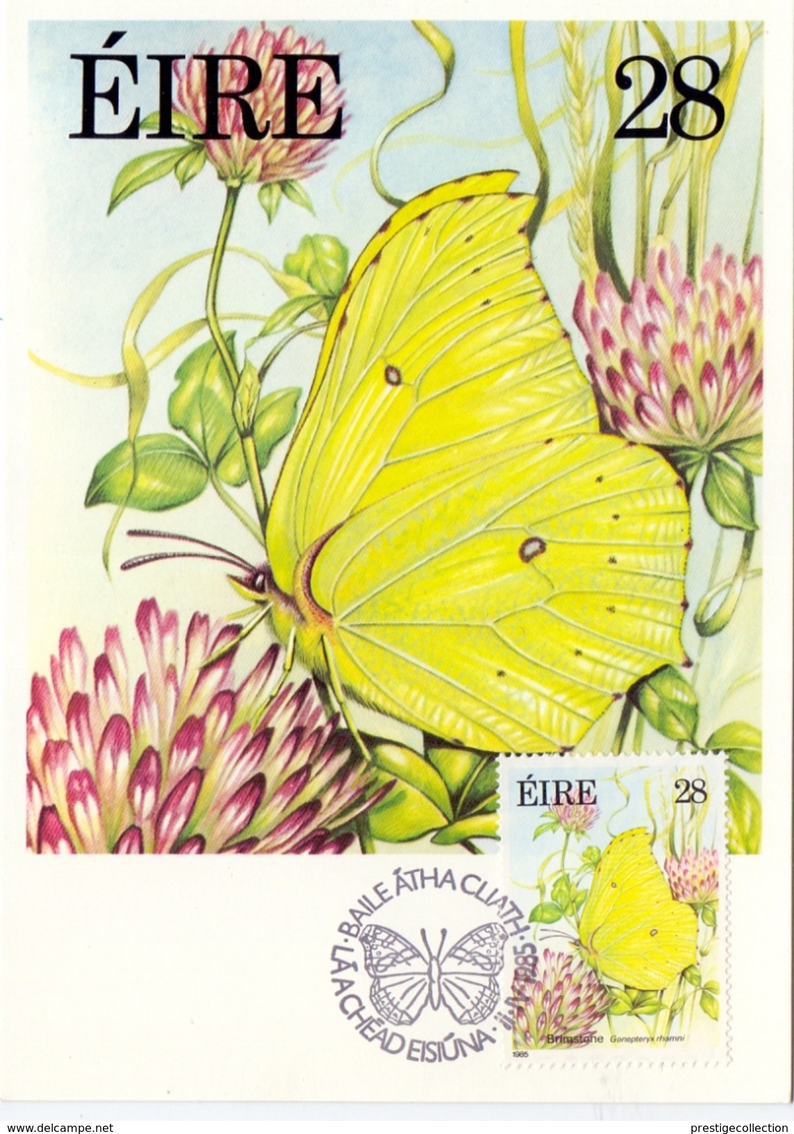 IRELAND BUTTERFLY MAXIMUN POST CARD 1985 3 PIECES   (SET160285) - Maximumkaarten