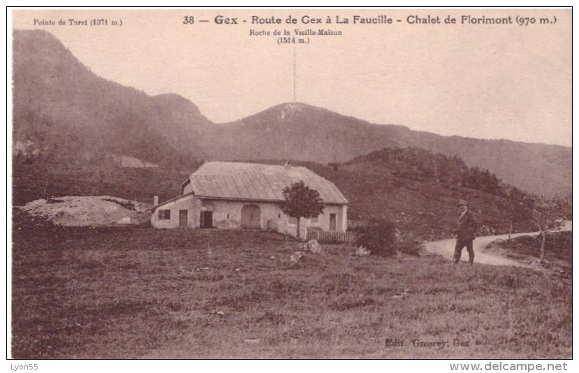 Gex Route De Gex à La Faucille Chalet De Florimont - Gex