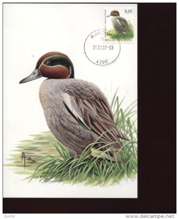 Belgie Buzin Vogels Birds 3623 Maximumkaart RR Waremme 26/2/2007 - 1985-.. Oiseaux (Buzin)