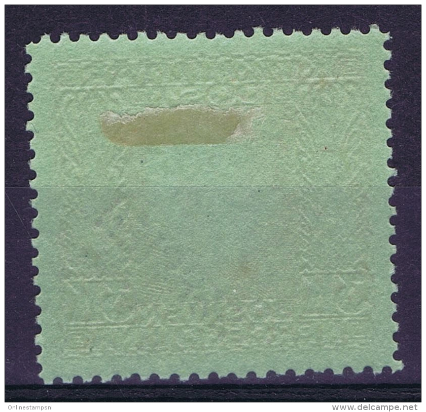 Austria Feldpost  Mi 19  MH/* Falz/ Charniere Occupation Of Serbia In WWI Serbien - Unused Stamps