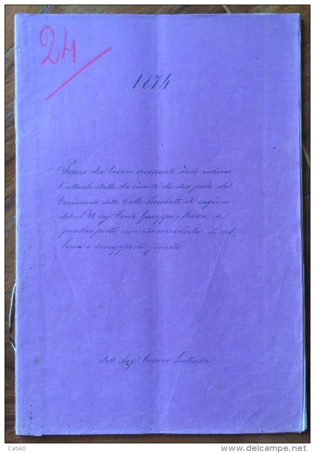 OZZANO DELL'EMILIA  VALLE BECCHETTI 1874 PROGETTO ORIGINALE CON ALLEGATA PLANIMETRIA FATTA E COLORATA A MANO - - Topographische Karten