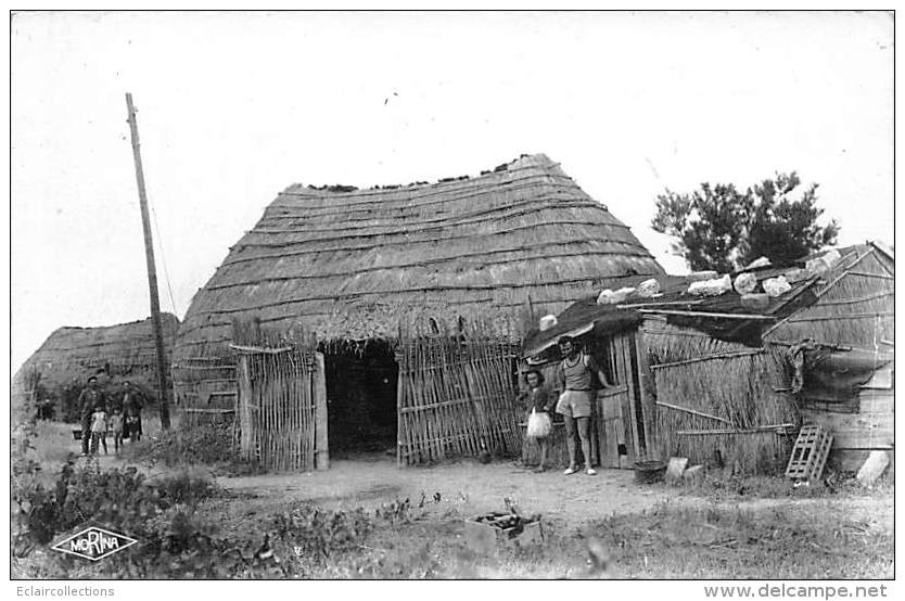 Sigean    11       Cabane De Pêcheurs - Sigean